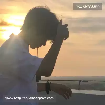 孙楠奔